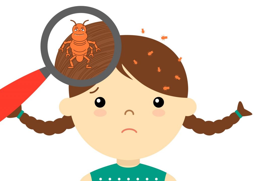 Head Lice Advice Ysgol Gynradd Aberporth