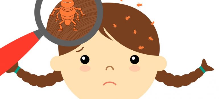 school-head-lice